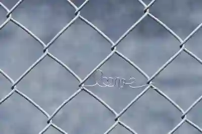 BYD 아토 2의 가성비를 극대화하는 4가지 방법