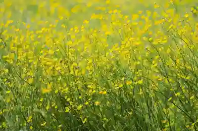 하나은행 공인인증서 발급 쉽게 하는 꿀팁 알아보자