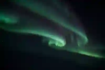 영문 등본 인터넷 발급 꿀팁 알아보자