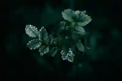 개명 후 운전면허증 재발급 간편하게 알아보자