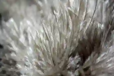 국민내일배움카드 신청방법과 혜택 완벽히 알아보자