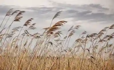 소상공인 특별지원금 신청 방법 완벽 가이드 알아보자