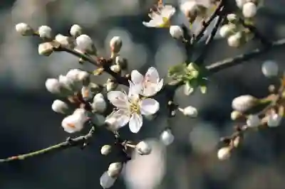 다이소 품절템 미리 알아보는 꿀팁