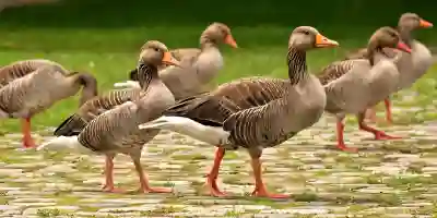 카톡 그룹 쉽게 만드는 4가지 꿀팁 알아보자