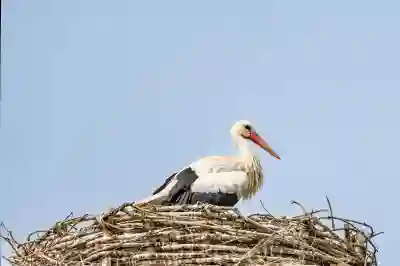 카카오톡 오픈채팅방 검색의 비밀 알아보자