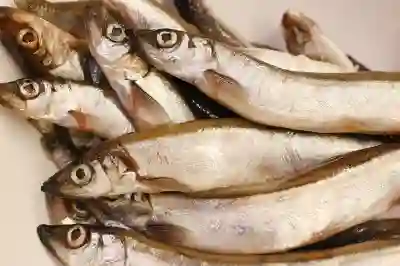 하나카드로 민생회복지원금 받는 4가지 방법 알아보자