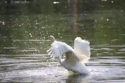 메이트 XT의 장단점을 살펴보자