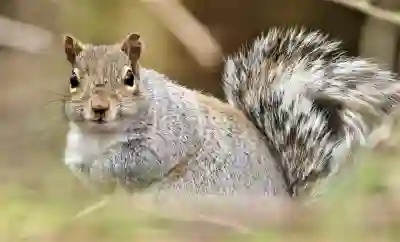 카카오톡 비밀번호 찾는 간편한 방법 알아보자