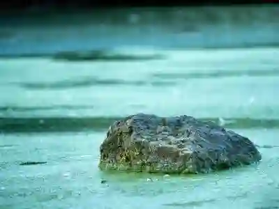 KT 소유형과 렌탈형 CCTV 비교 및 4월 프로모션 알아보자