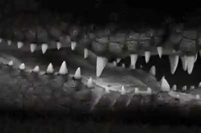 에어컨 없이 시원한 방 만들기 위한 선풍기 활용 꿀팁 알아보자