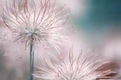 트위터 리스트 활용으로 효율적인 팔로우 전략 알아보자