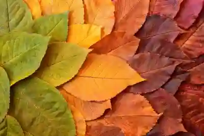 챗GPT 플러스 요금제 할인 받는 4가지 방법 알아보자