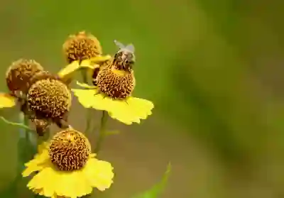 카카오톡 오픈채팅방 프로필 변경 후 1:1 채팅하는 방법 알아보자