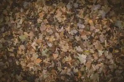 혼인신고를 쉽게 하는 4가지 방법 알아보자