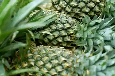 주택임대차계약 신고 확인하는 꿀팁 알아보자