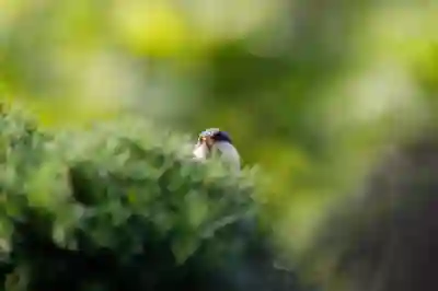 카카오톡 이모티콘 가격 인상 대처법 알아보자