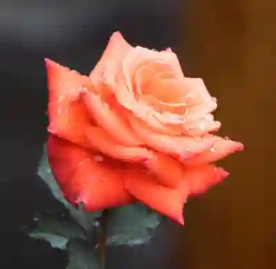 미성년자 민생지원금 신청하는 꿀팁 살펴보기