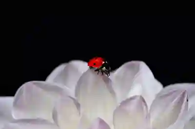 유성 평생학습센터 수강신청 꿀팁 알아보자