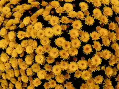 수강신청 짤 제작을 위한 꿀팁 알아보자