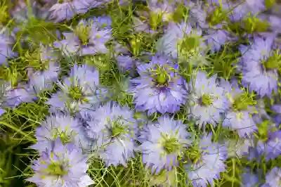 갤럭시 탭 S9 플러스를 전문가처럼 활용하는 꿀팁 알아보자