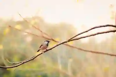 윈도우11 다운로드하는 꿀팁 알아보자