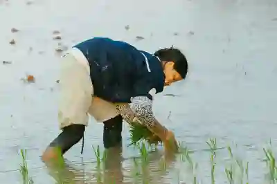 노비타 제습기 사용 꿀팁 알아보자