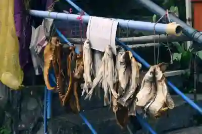 삼성 건조기로 이불 손쉽게 건조하는 꿀팁 알아보자