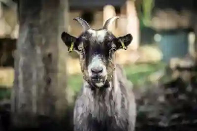 무선 탁상 선풍기로 여름 더위를 이겨내는 방법 알아보자