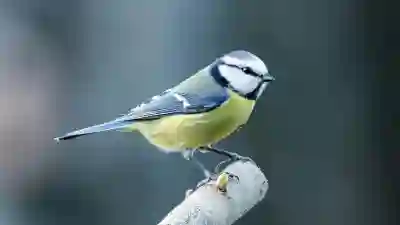 싱글 전기장판 선택 꿀팁